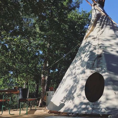 Tipi Lodge Dans La Foret Mimizan-Plage エクステリア 写真