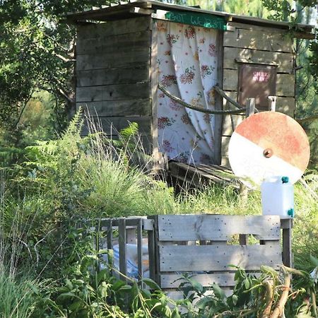 Tipi Lodge Dans La Foret Mimizan-Plage エクステリア 写真