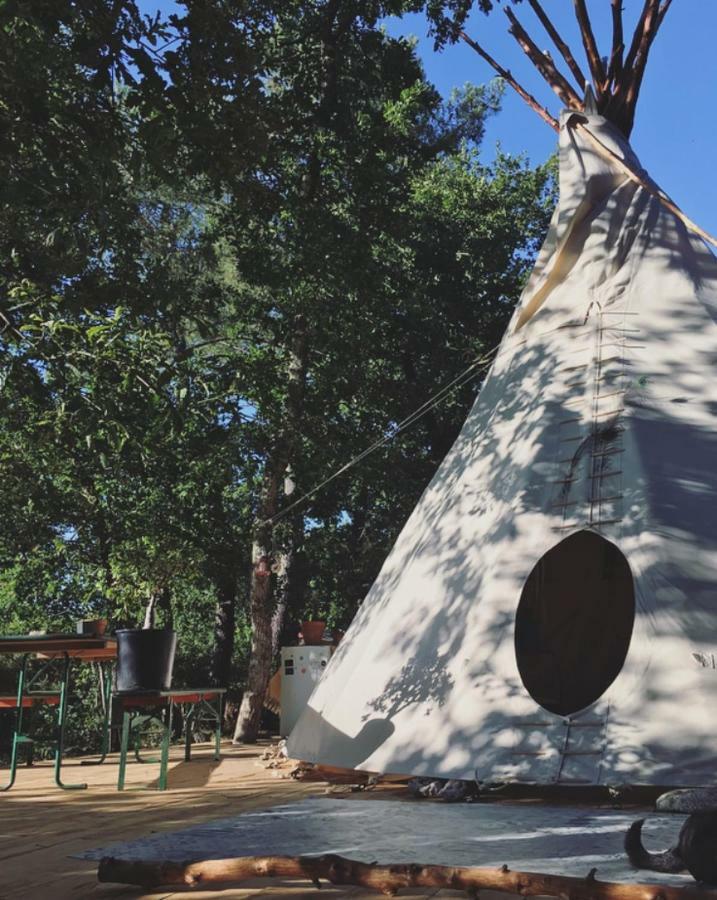 Tipi Lodge Dans La Foret Mimizan-Plage エクステリア 写真
