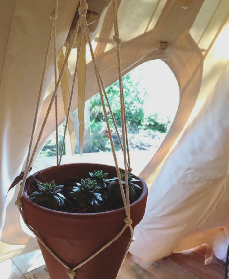 Tipi Lodge Dans La Foret Mimizan-Plage エクステリア 写真