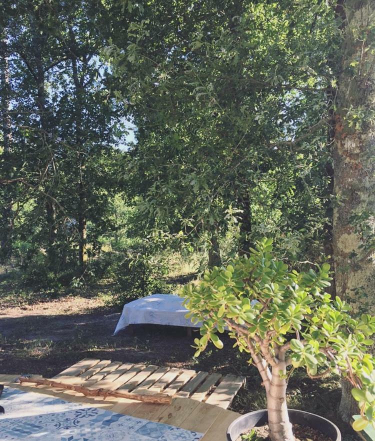Tipi Lodge Dans La Foret Mimizan-Plage エクステリア 写真