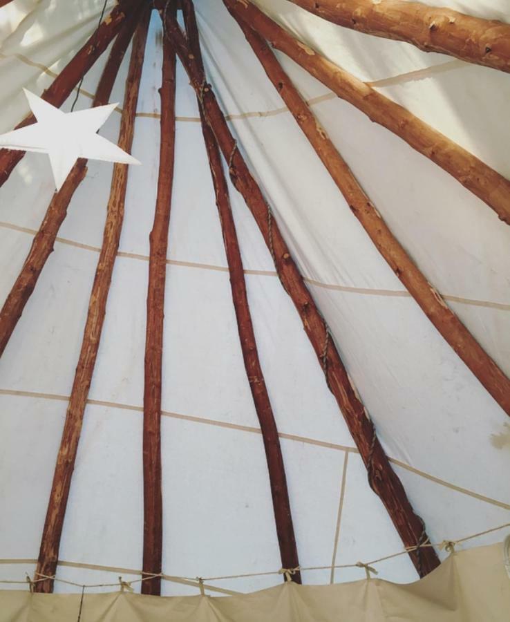 Tipi Lodge Dans La Foret Mimizan-Plage エクステリア 写真
