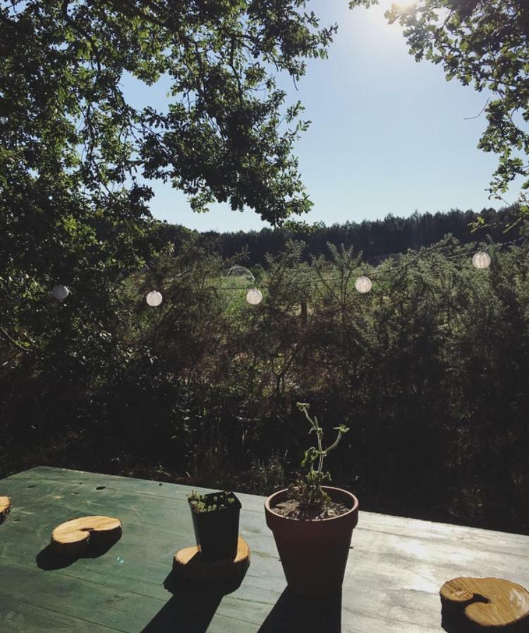 Tipi Lodge Dans La Foret Mimizan-Plage エクステリア 写真