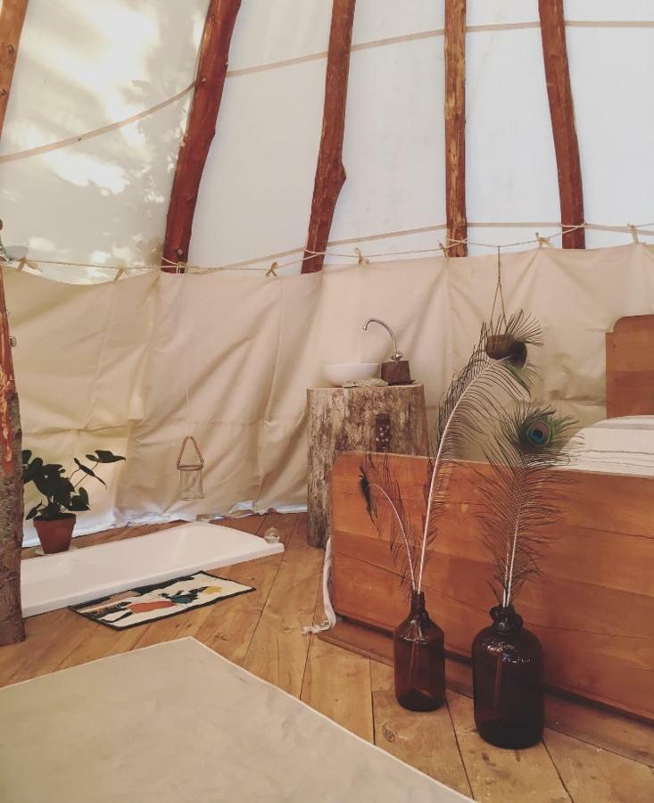 Tipi Lodge Dans La Foret Mimizan-Plage エクステリア 写真