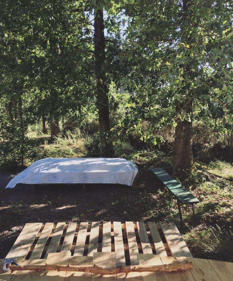 Tipi Lodge Dans La Foret Mimizan-Plage エクステリア 写真